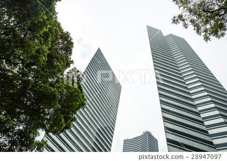 Tops of skyscrapers and trees 28947097