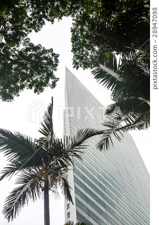 Top of skyscraper and trees 28947098