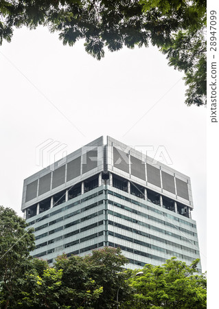 Top of skyscraper and trees 28947099