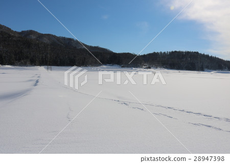 Winter clear snowy field and footprints in the heavy snowy zone Winter clear snowy field and footprints in the heavy snowy zone 28947398
