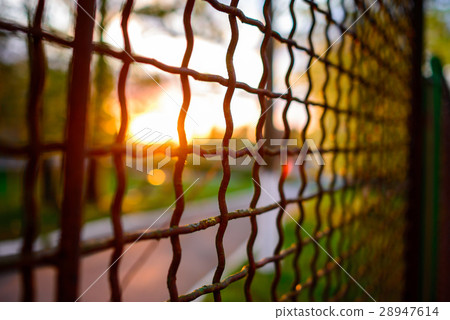 fence with metal grid in perspective fence with metal grid in perspective 28947614