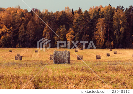 blurred background autumn field haystacks blurred background autumn field haystacks 28948112