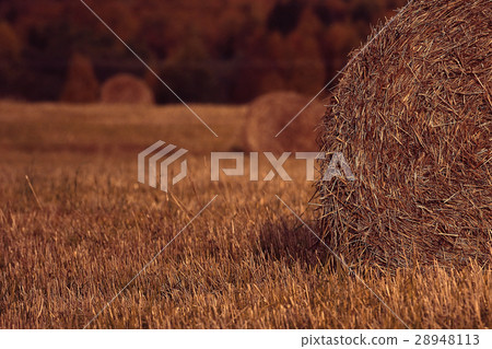 blurred background autumn field haystacks blurred background autumn field haystacks 28948113