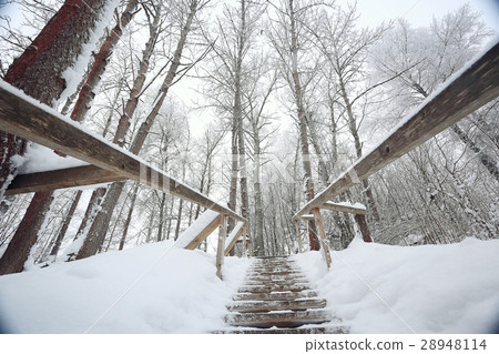 snowy road winter landscape snowy road winter landscape 28948114