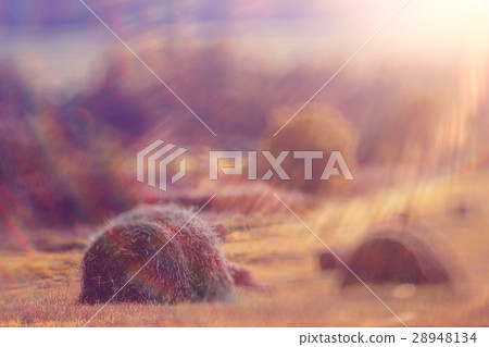 blurred background autumn field haystacks 28948134