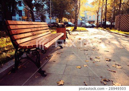 amazing autumn landscape in the city park 28949303