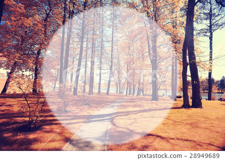 autumn park blurred background translucent frame for text 28949689