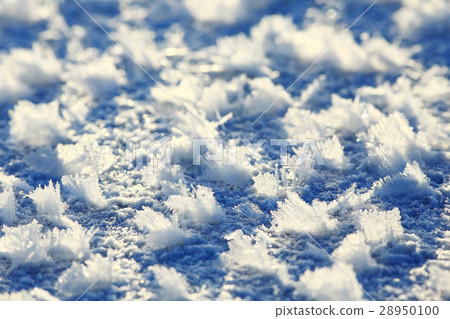 snow texture white blue background snow texture white blue background 28950100