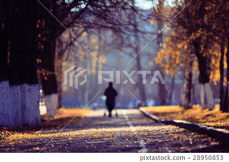 blurred background path in autumn city park blurred background path in autumn city park 28950853