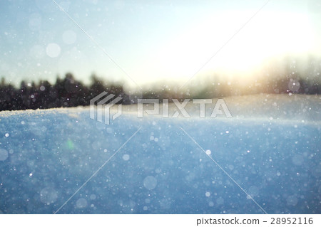 Fresh snow winter background in nature Fresh snow winter background in nature 28952116