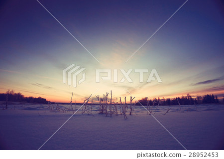winter landscape with a horizon, field and sky winter landscape with a horizon, field and sky 28952453