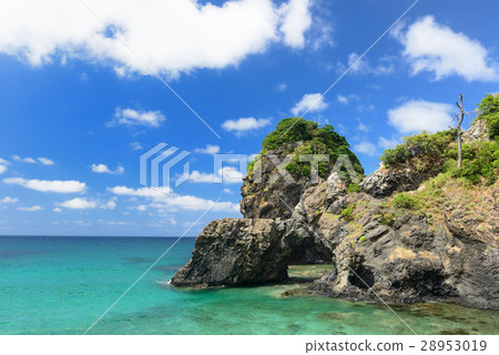 Sanin's Summer 28953019