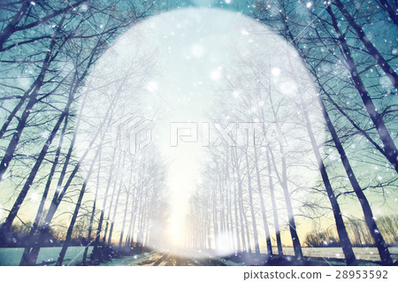 Spring forest background blur circle for text 28953592
