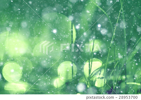 Green background bokeh blurred glare rain Green background bokeh blurred glare rain 28953700