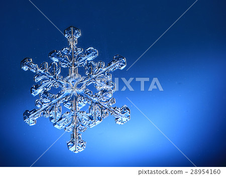natural snowflake photo isolated on a background natural snowflake photo isolated on a background 28954160