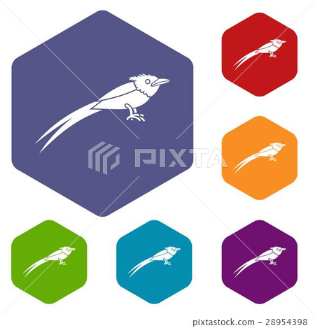 Asian paradise flycatcher icons set 28954398