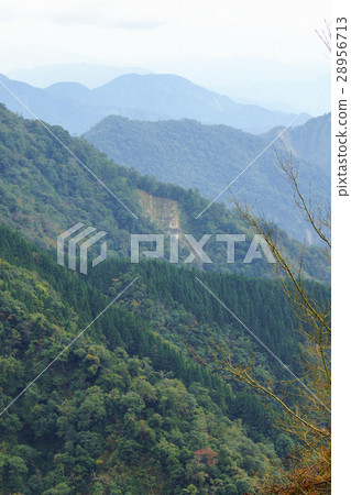 山景 28956713
