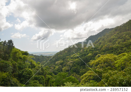 View from the Kuranda plateau train 28957152