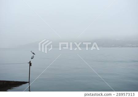 迷霧中的淡水 28957313