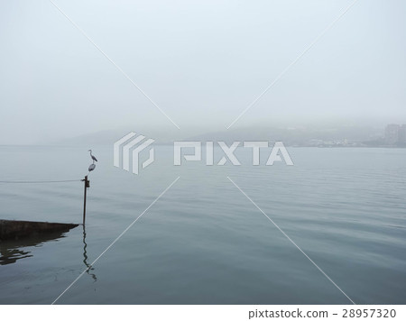 迷霧中的淡水 28957320
