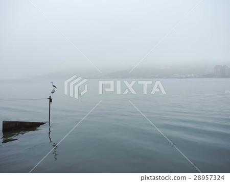 迷霧中的淡水 28957324
