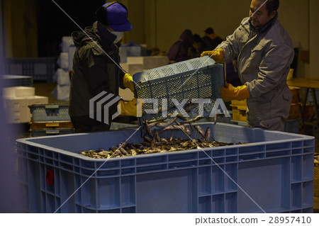 日本漁業形象 28957410