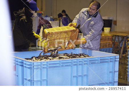 日本漁業形象 日本漁業形象 28957411