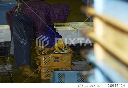 日本漁業形象 28957424