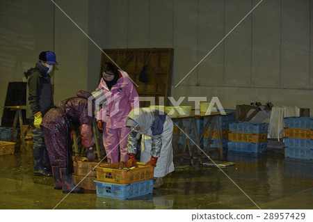 日本漁業形象 28957429