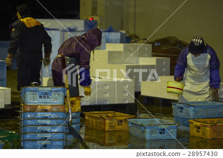 Japanese fishery image 28957430