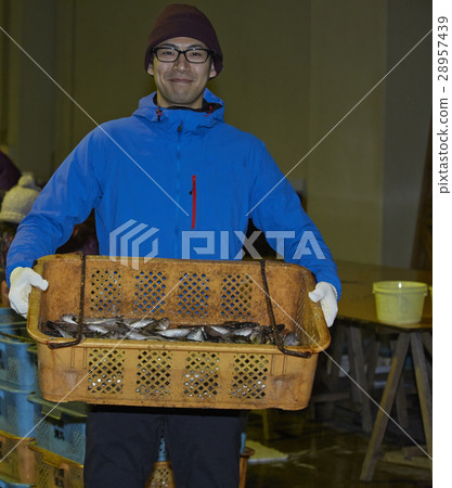 在魚市場工作的人 28957439