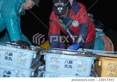 漁民在午夜工作 28957445