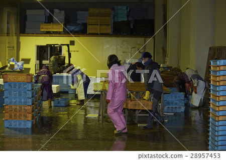 Japanese fishery image 28957453
