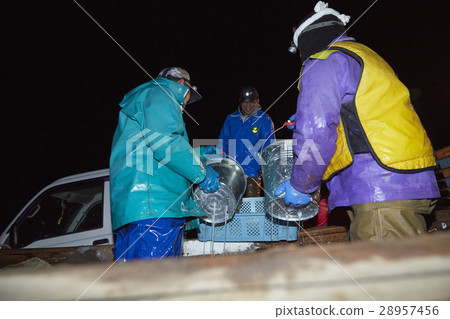 Fishermen working at midnight 28957456