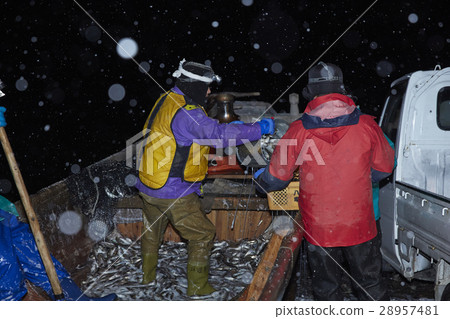 Fishermen working at midnight 28957481