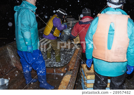Fishermen working at midnight 28957482