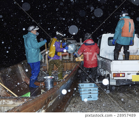 Fishermen working at midnight 28957489