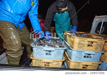 Fishermen working at midnight 28957500