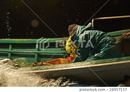 Fishermen working at midnight 28957537