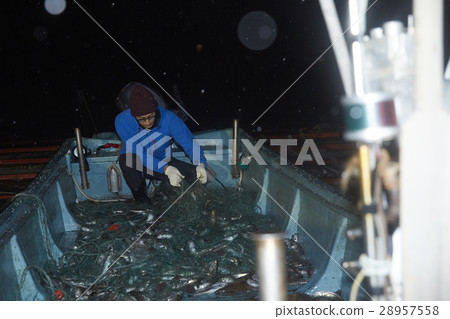 Fisherman portrait Fisherman portrait 28957558