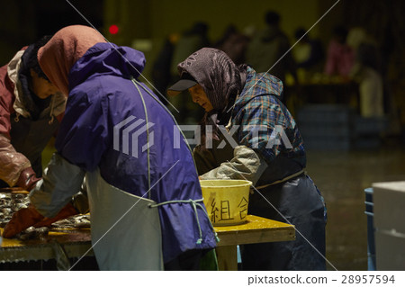 日本漁業形象 28957594