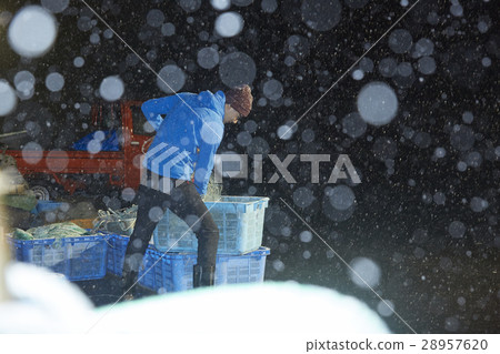Fisherman portrait Fisherman portrait 28957620