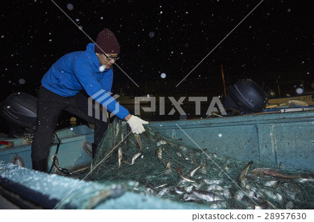 漁夫的肖像 28957630