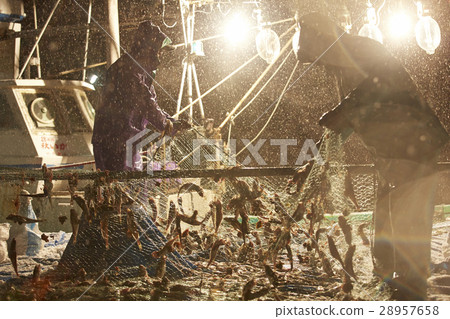 漁民在午夜工作 漁民在午夜工作 28957658