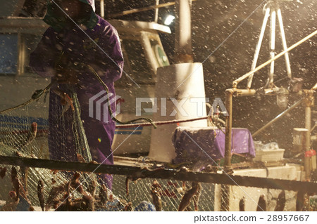 日本漁業形象 28957667