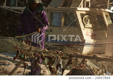 日本漁業形象 28957669