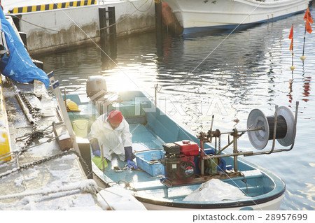 Japanese fishery image 28957699