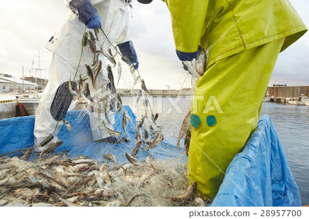 Working fishermen 28957700