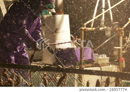 Japanese fishery image 28957774