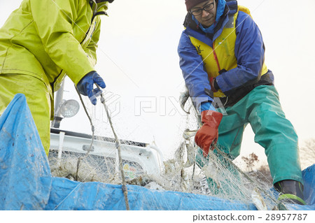 Working fishermen 28957787